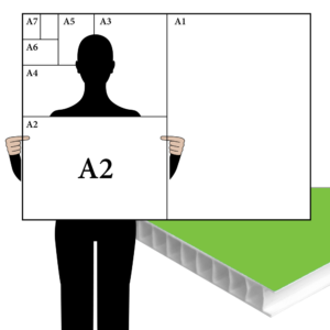 A Size Correx