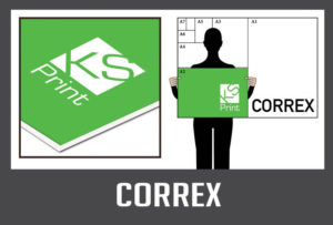 Correx
